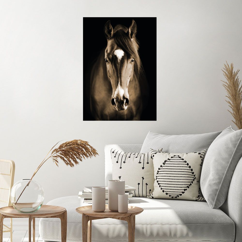 Affiche Cheval majestueux