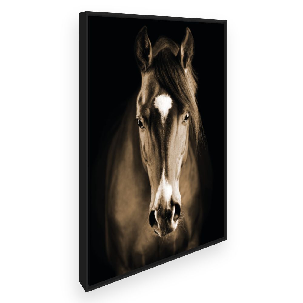 Toile Cheval majestueux