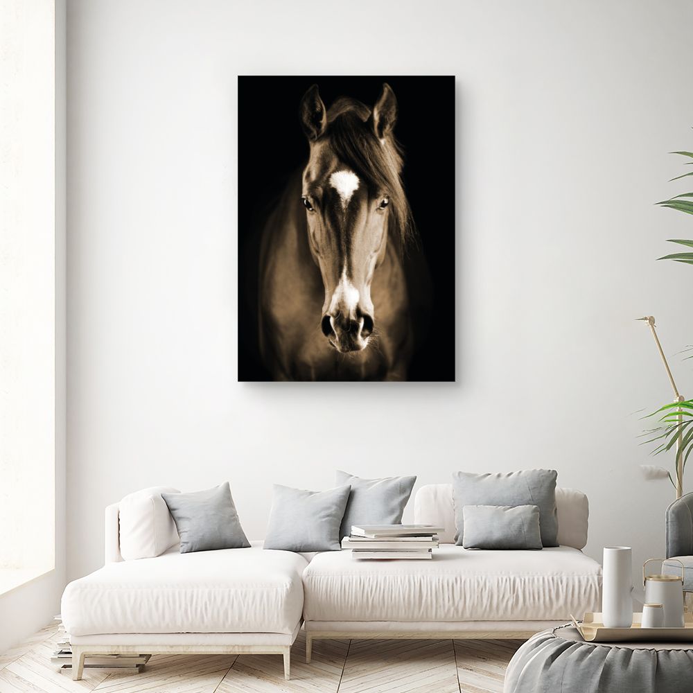 Tableau Cheval majestueux