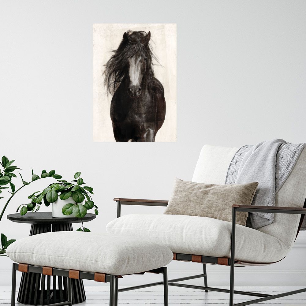 Affiche Cheval majestueux