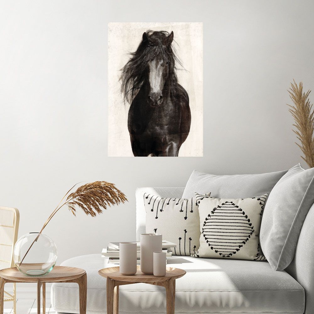 Affiche Cheval majestueux