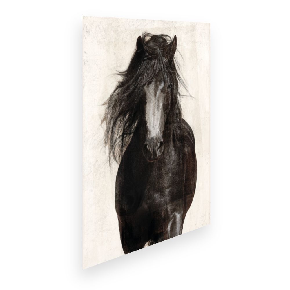 Affiche Cheval majestueux