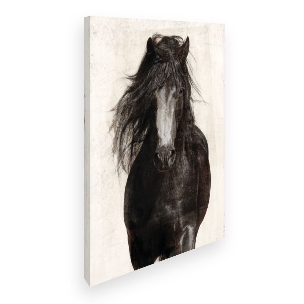 Toile Cheval majestueux