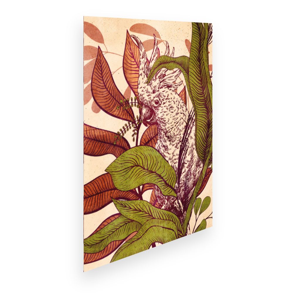 Affiche Perroquet exotique