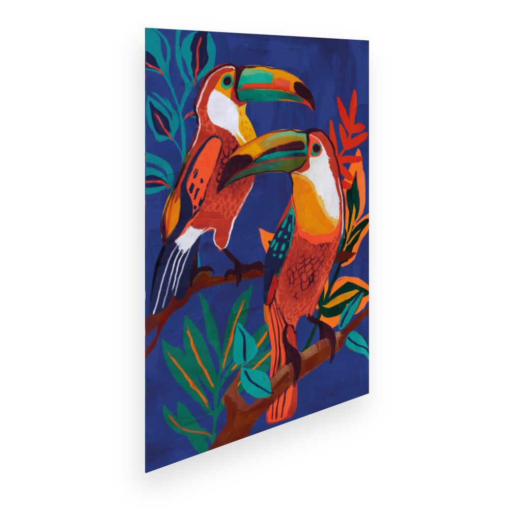 Affiche Toucans colorés