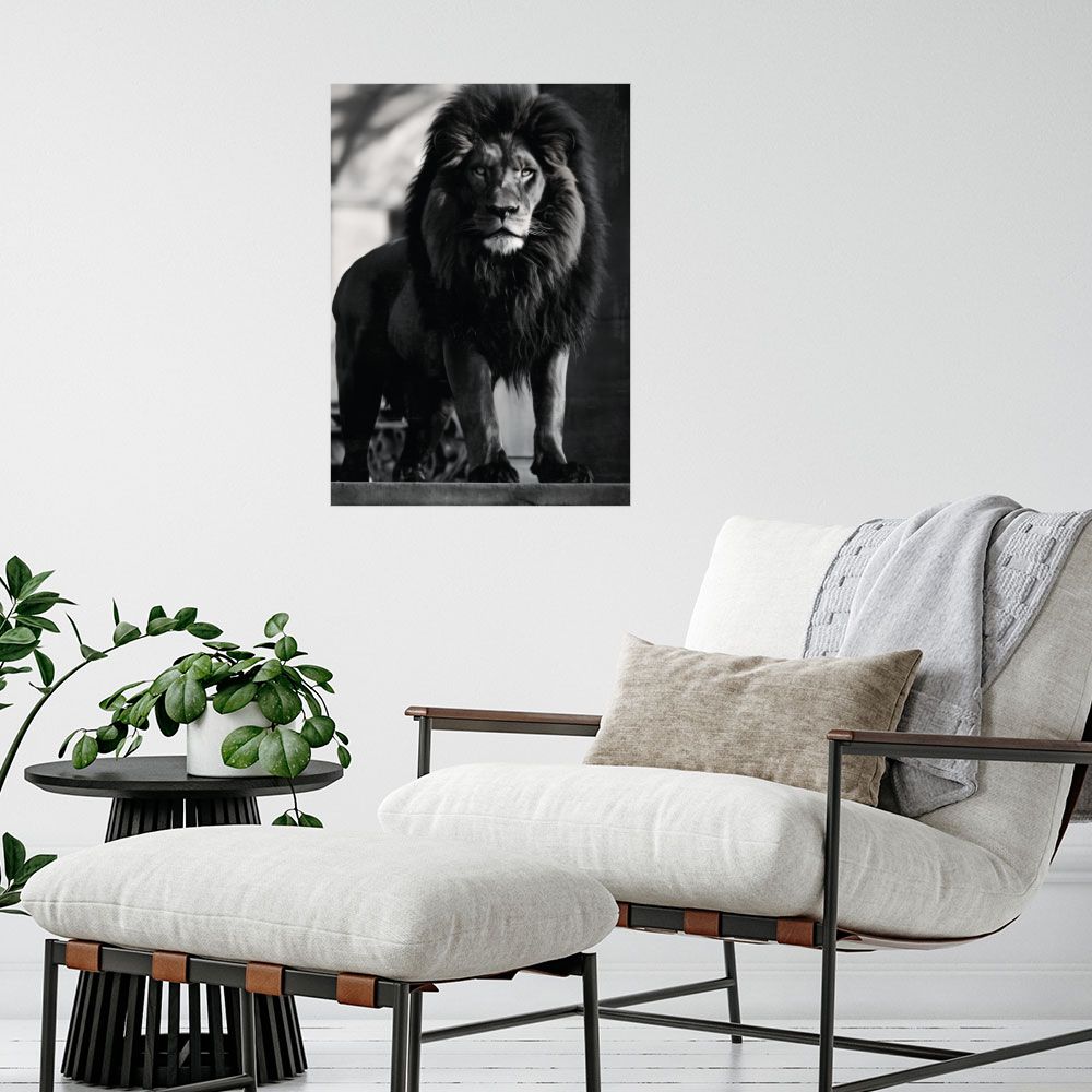 Affiche Lion majestueux