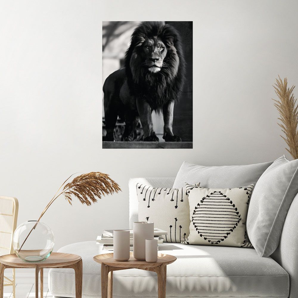 Affiche Lion majestueux