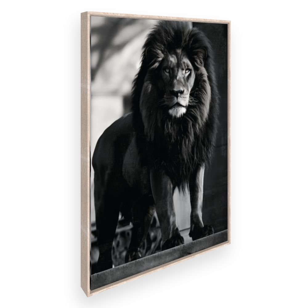 Toile Lion majestueux
