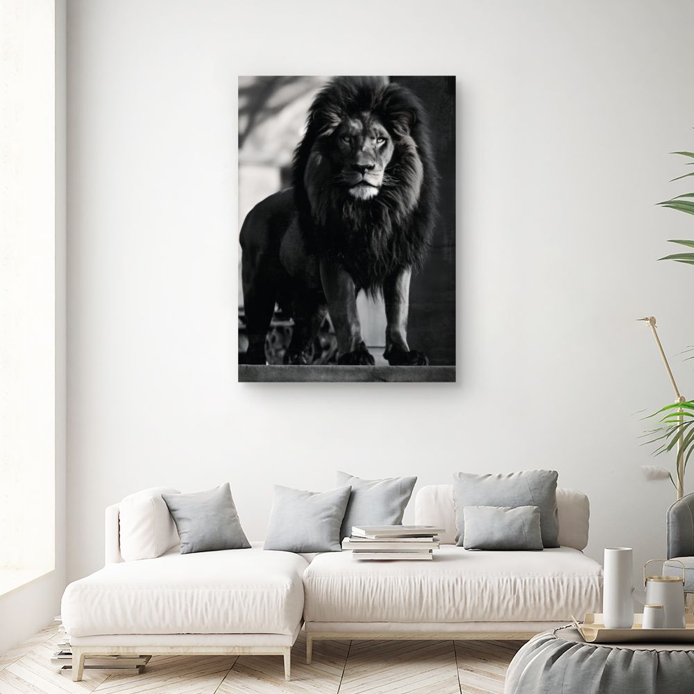 Tableau Lion majestueux