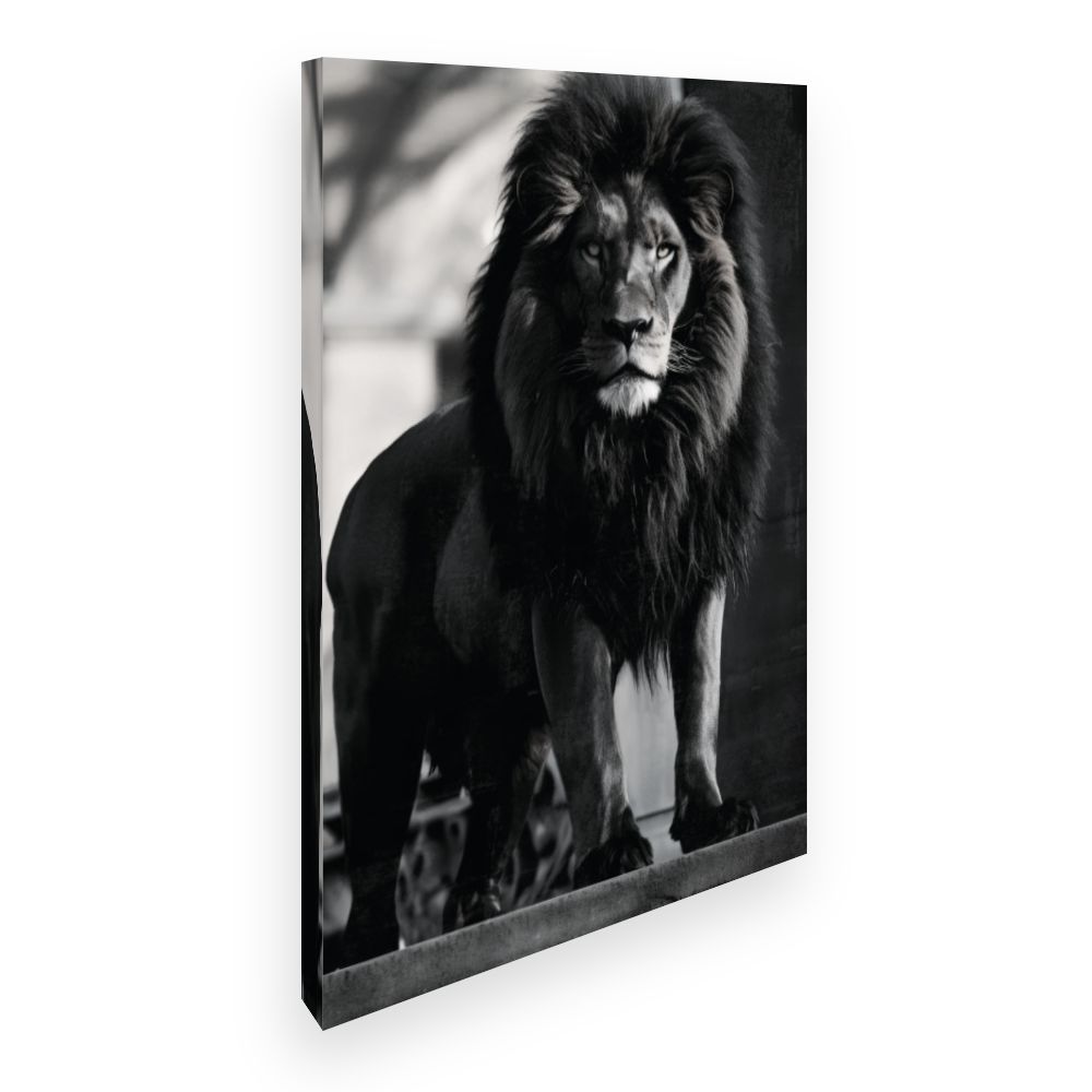 Toile Lion majestueux