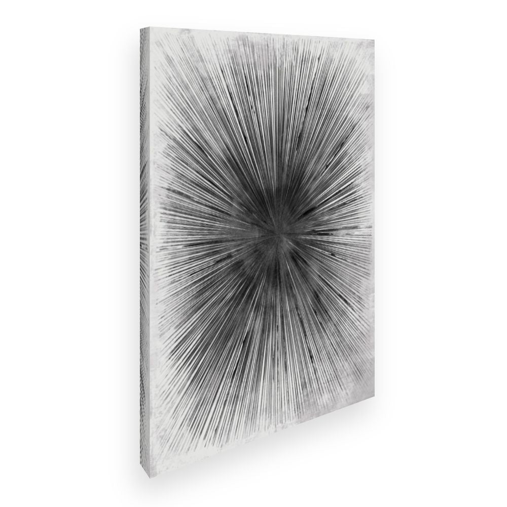 Toile Explosion radiale