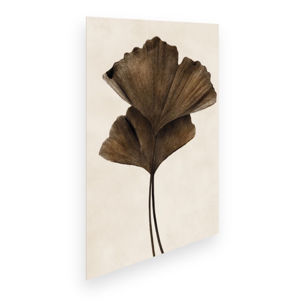 Affiche Feuilles élégantes
