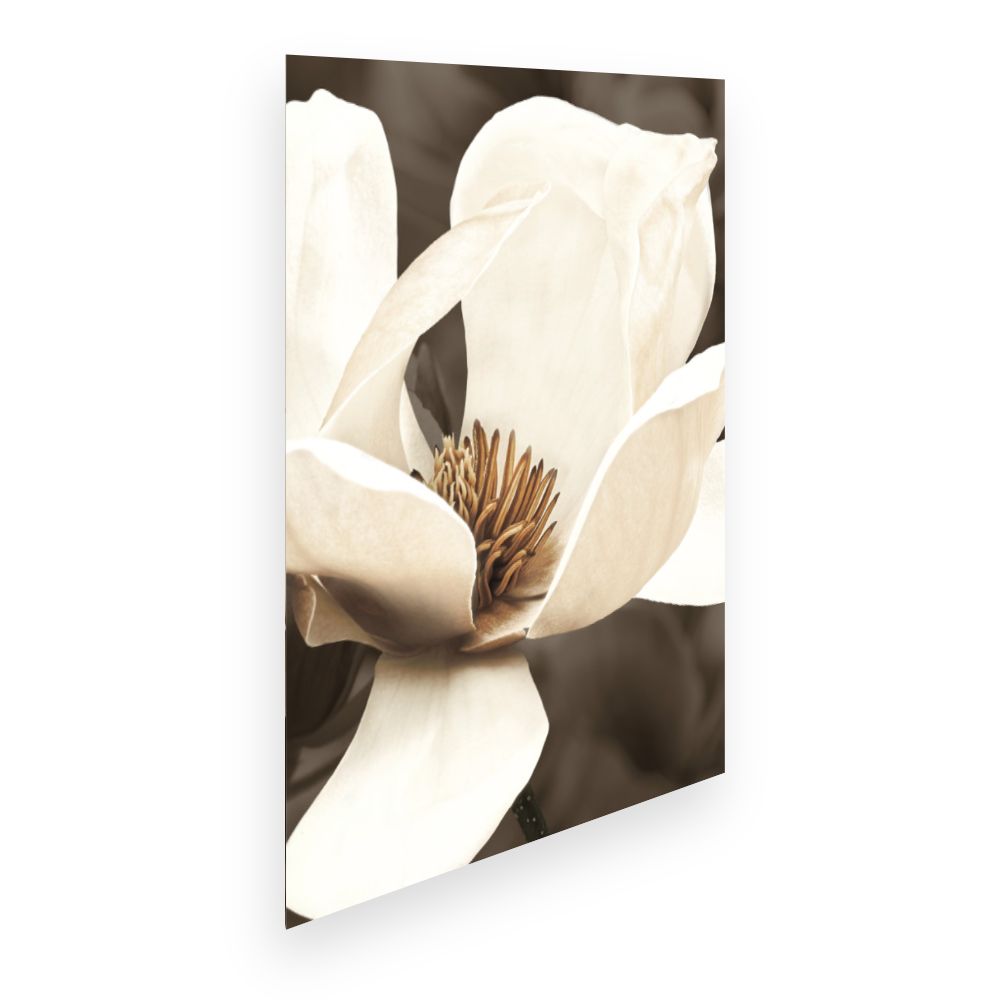 Affiche Élégance florale
