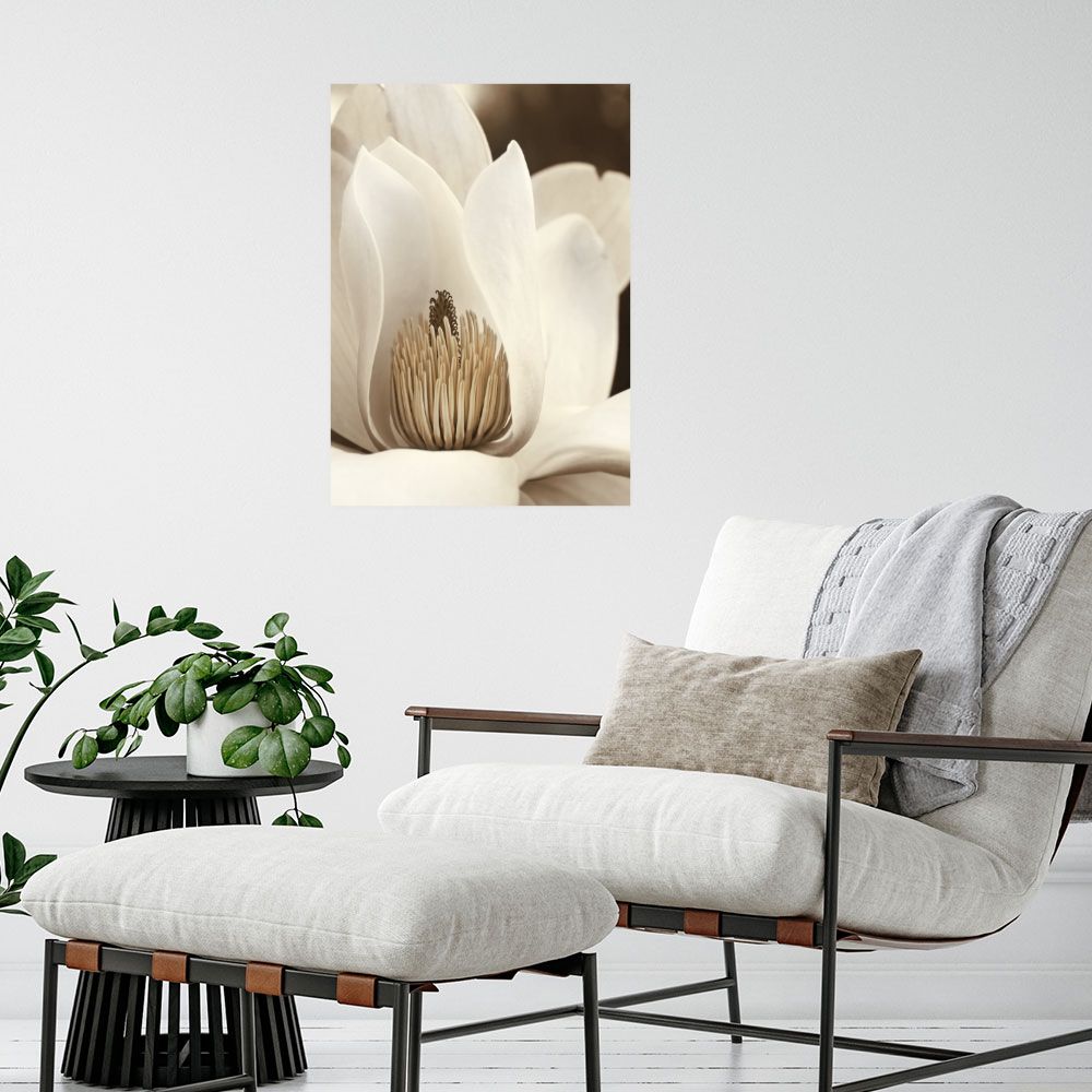 Affiche Élégance florale
