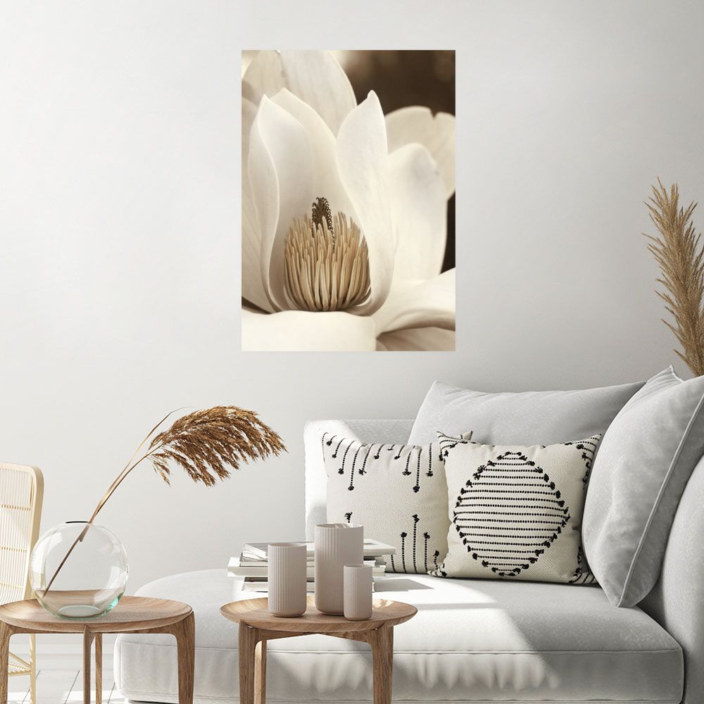 Affiche Élégance florale