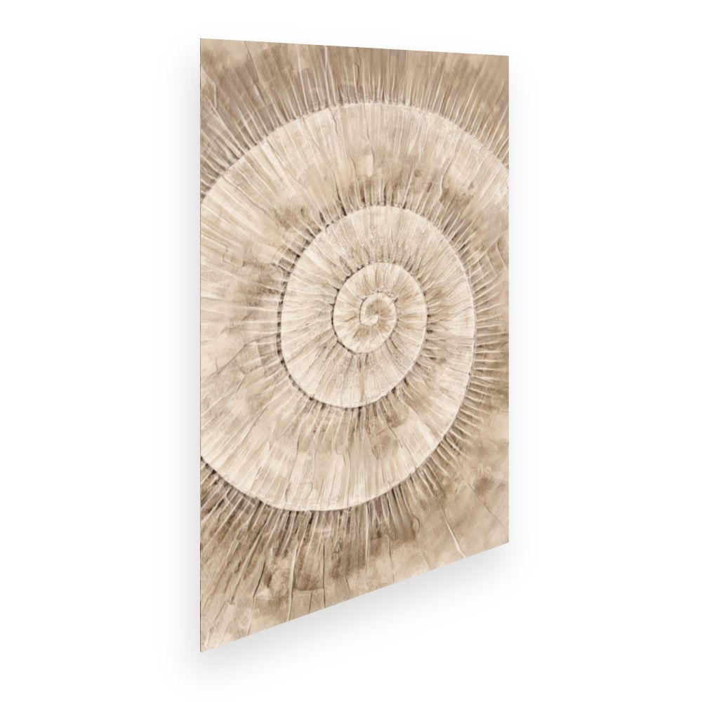 Affiche Spirale naturelle élégante