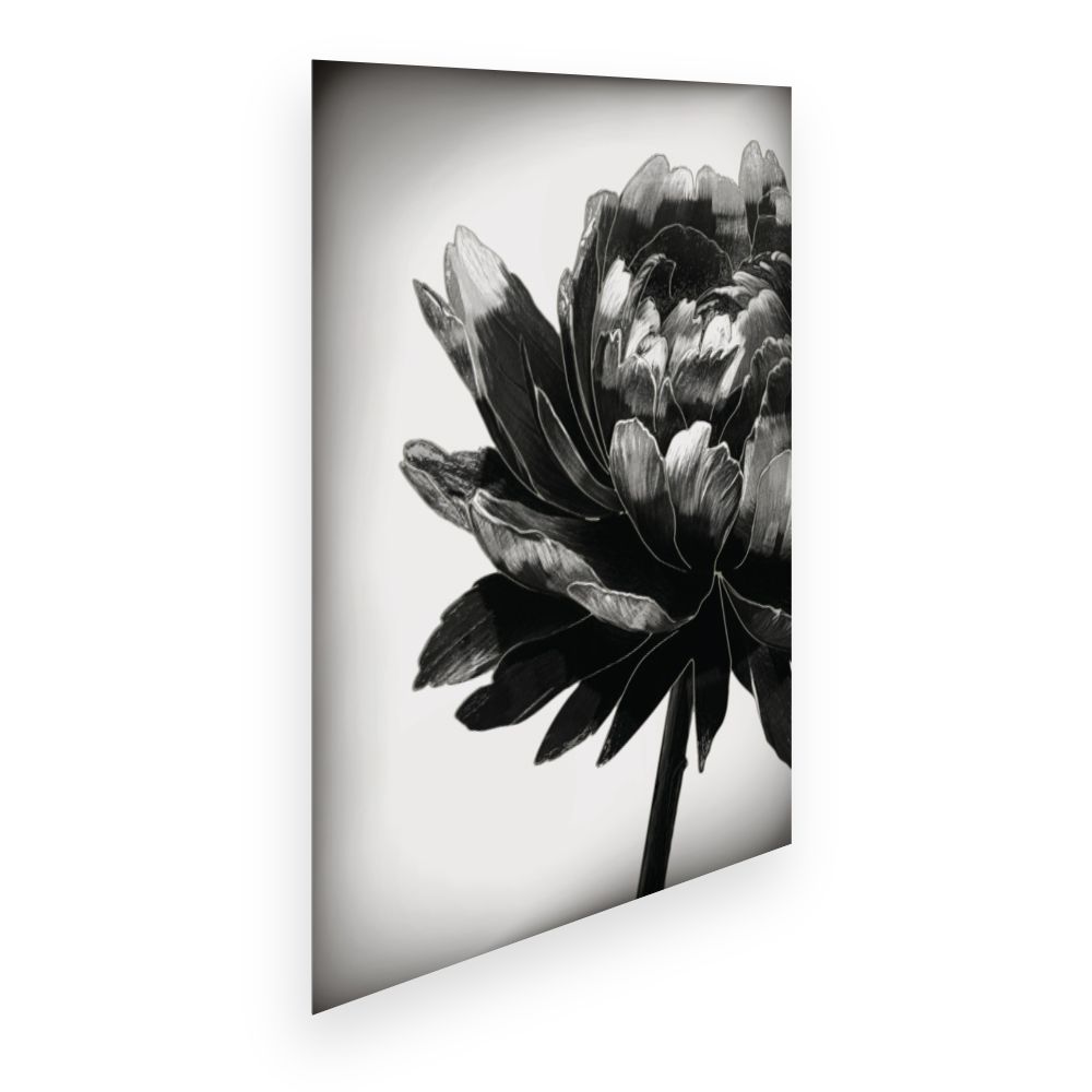 Affiche Fleur élégante