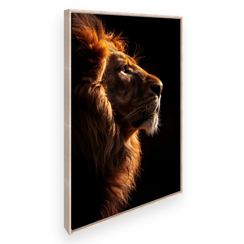 Toile Regard royal