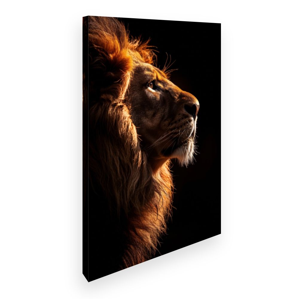 Toile Regard royal