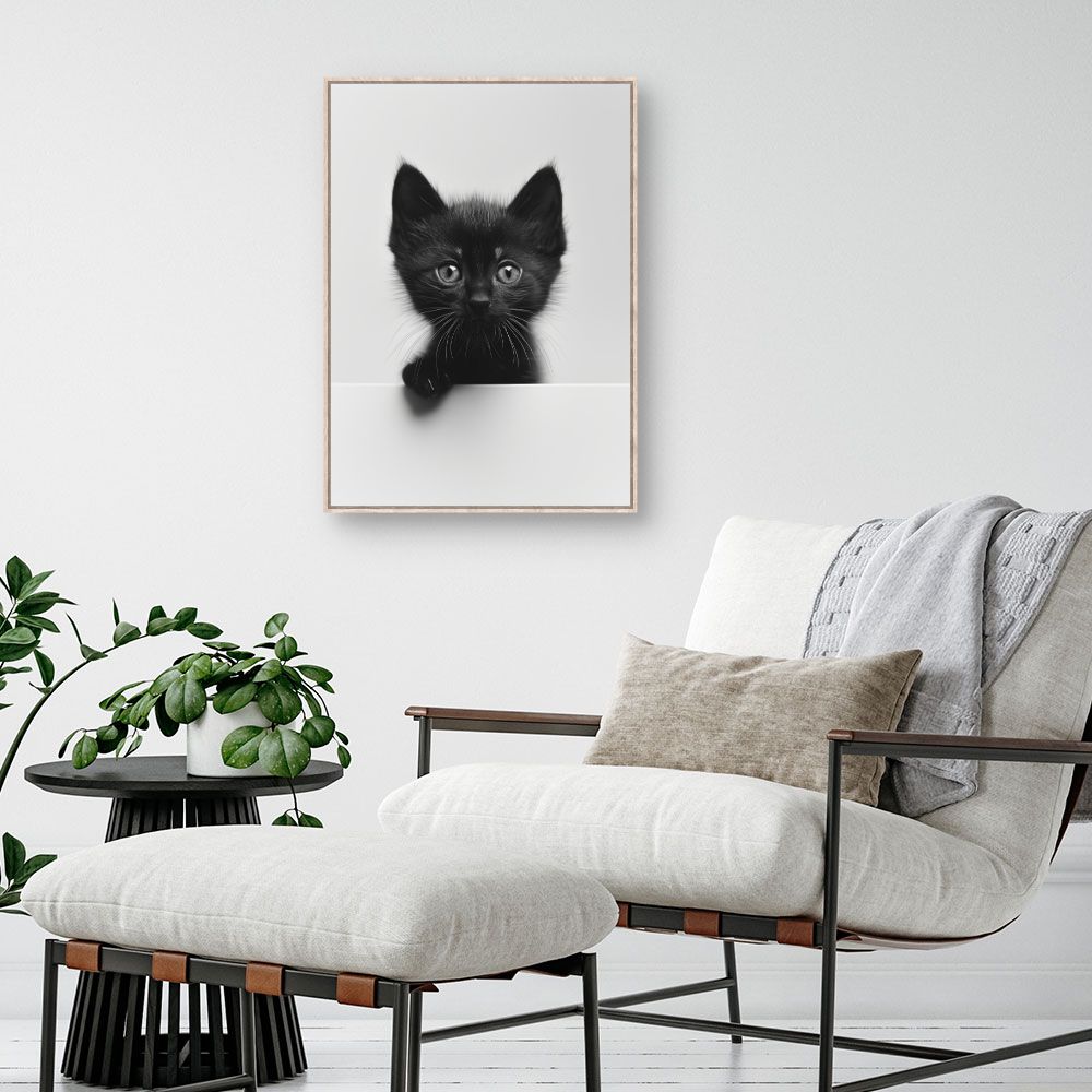 Toile "Chaton adorable"