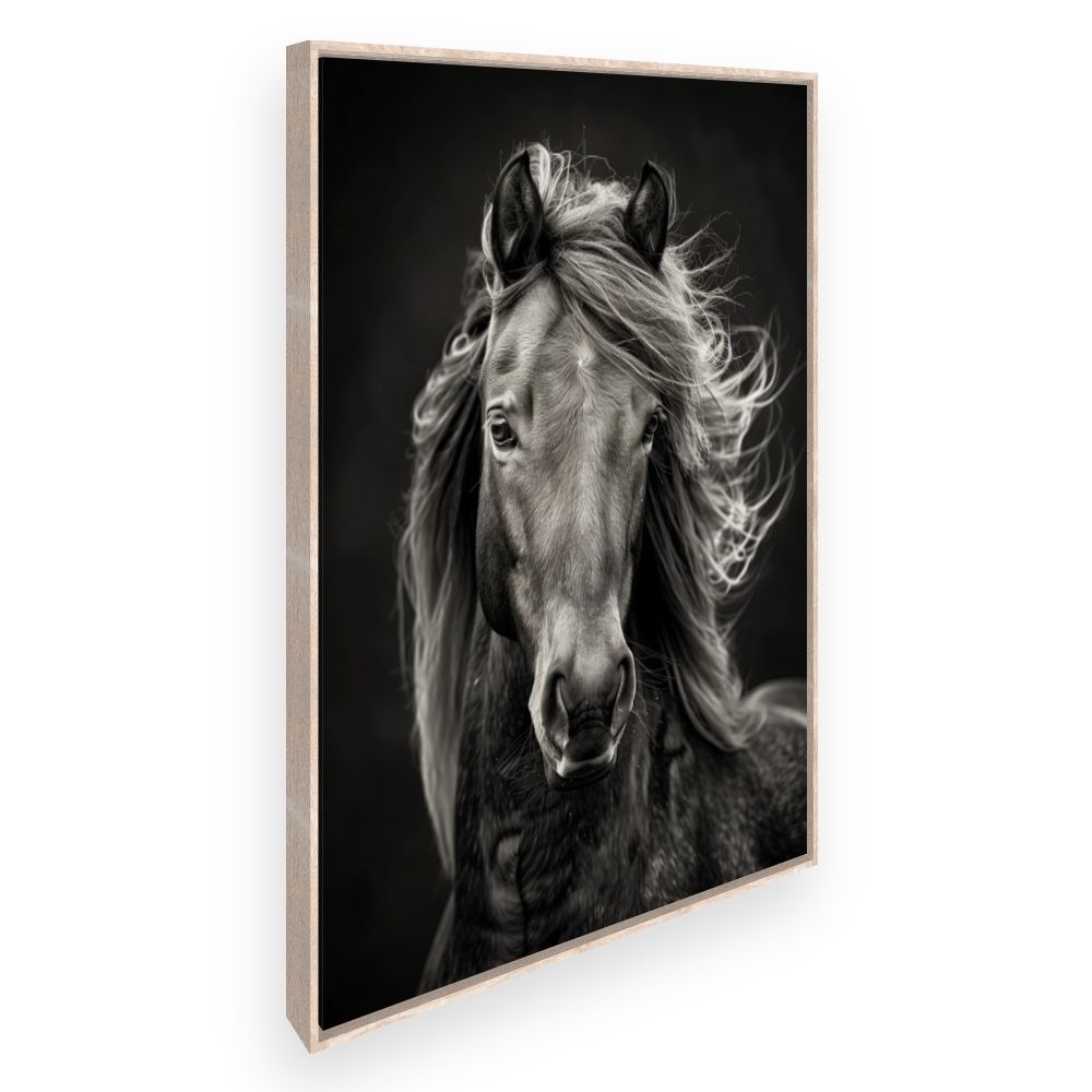 Toile Cheval majestueux