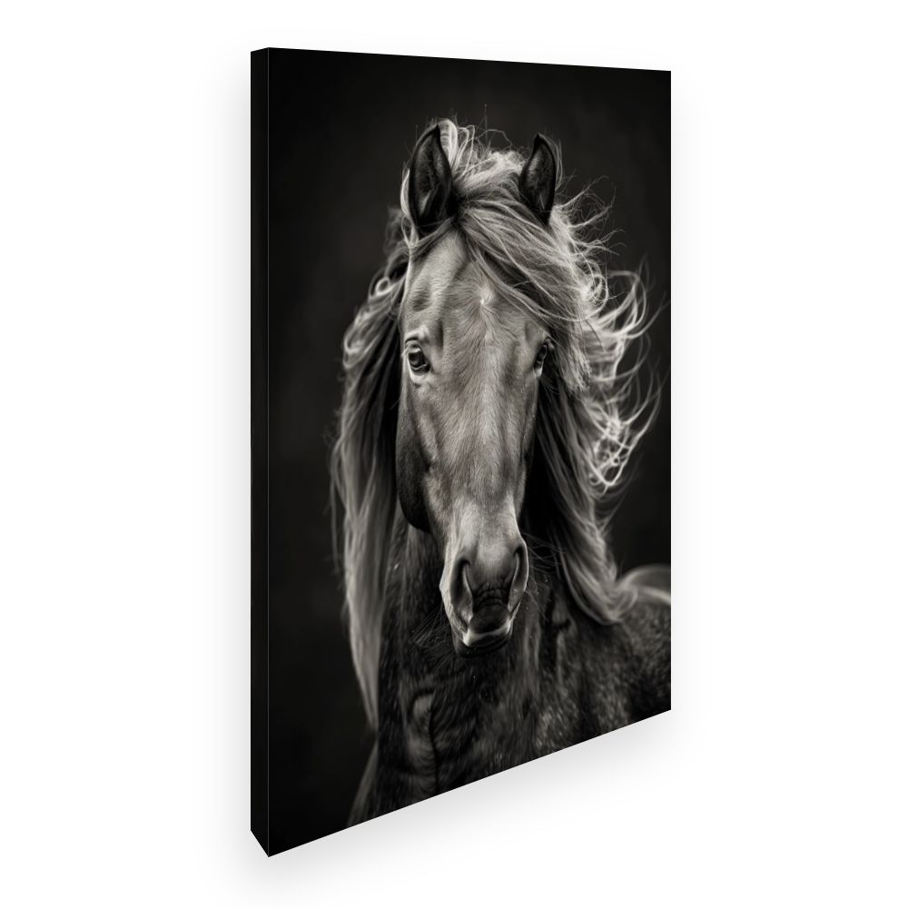 Toile Cheval majestueux