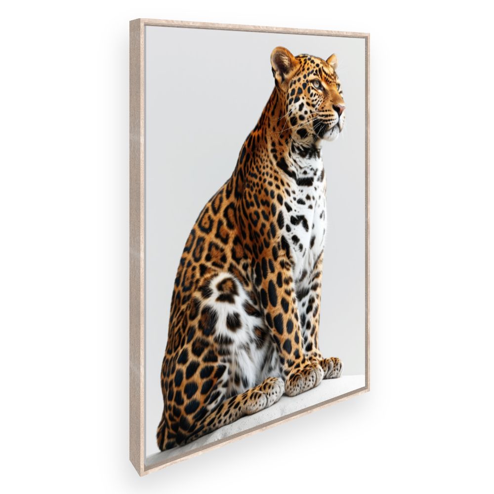 Toile Analyse impossible