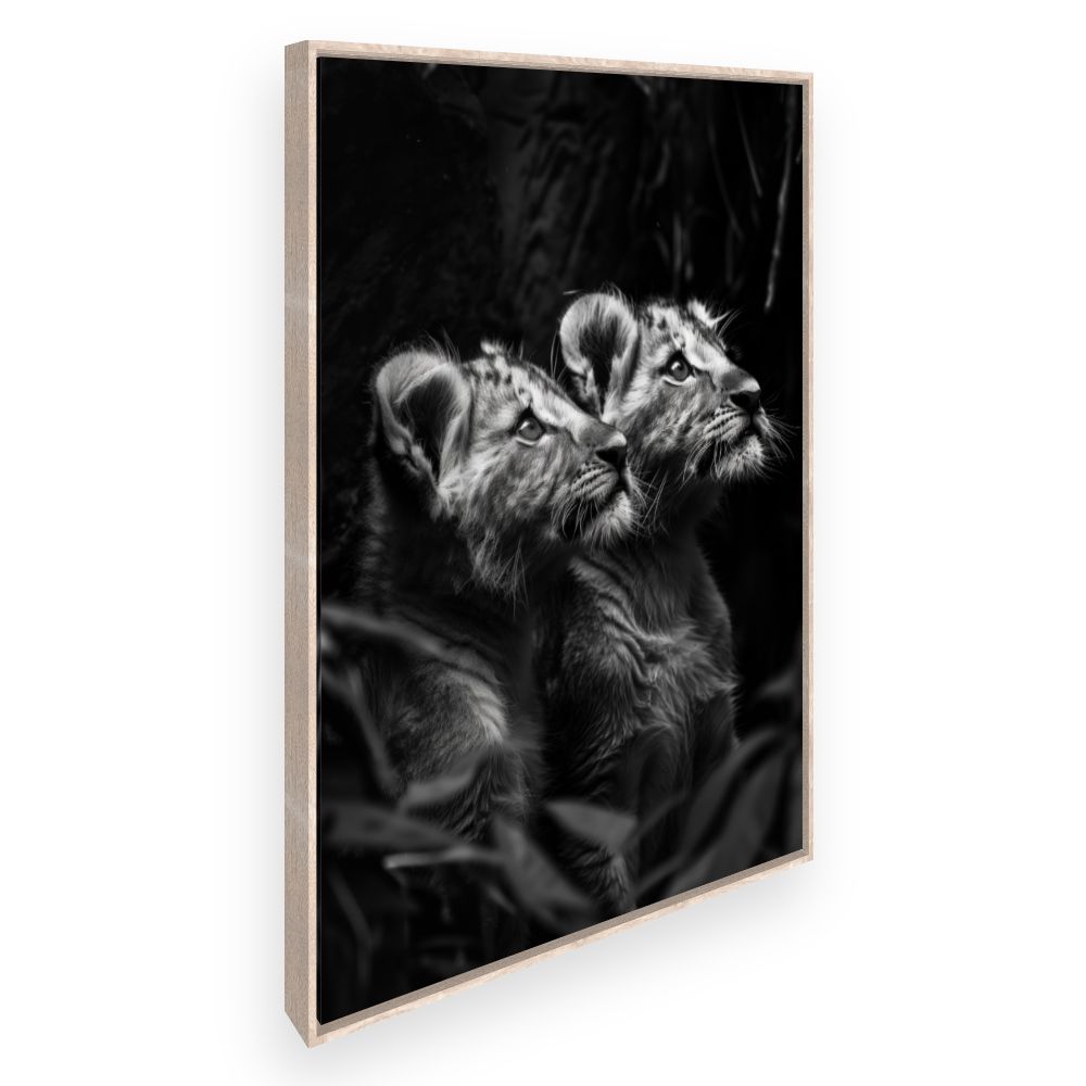 Toile Jeunes lions majestueux