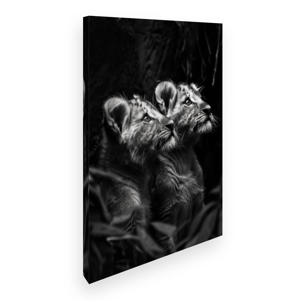Toile Jeunes lions majestueux