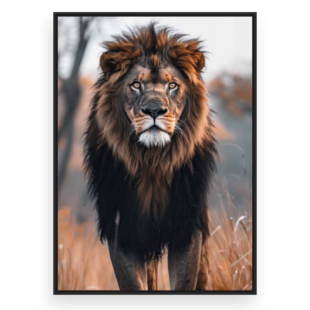 Toile Majestueux lion sauvage – toile cadre noir (slide 3)