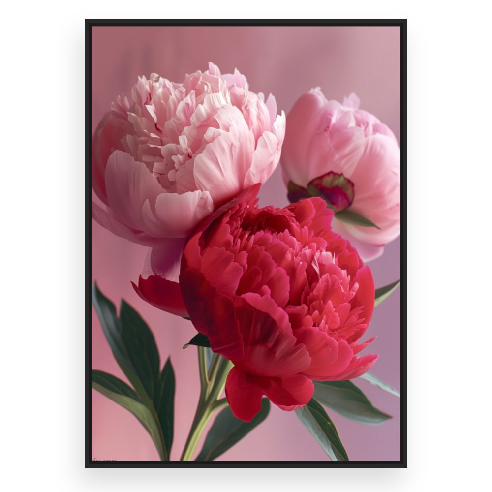 Toile Pivoines élégantes – toile cadre noir (slide 3)