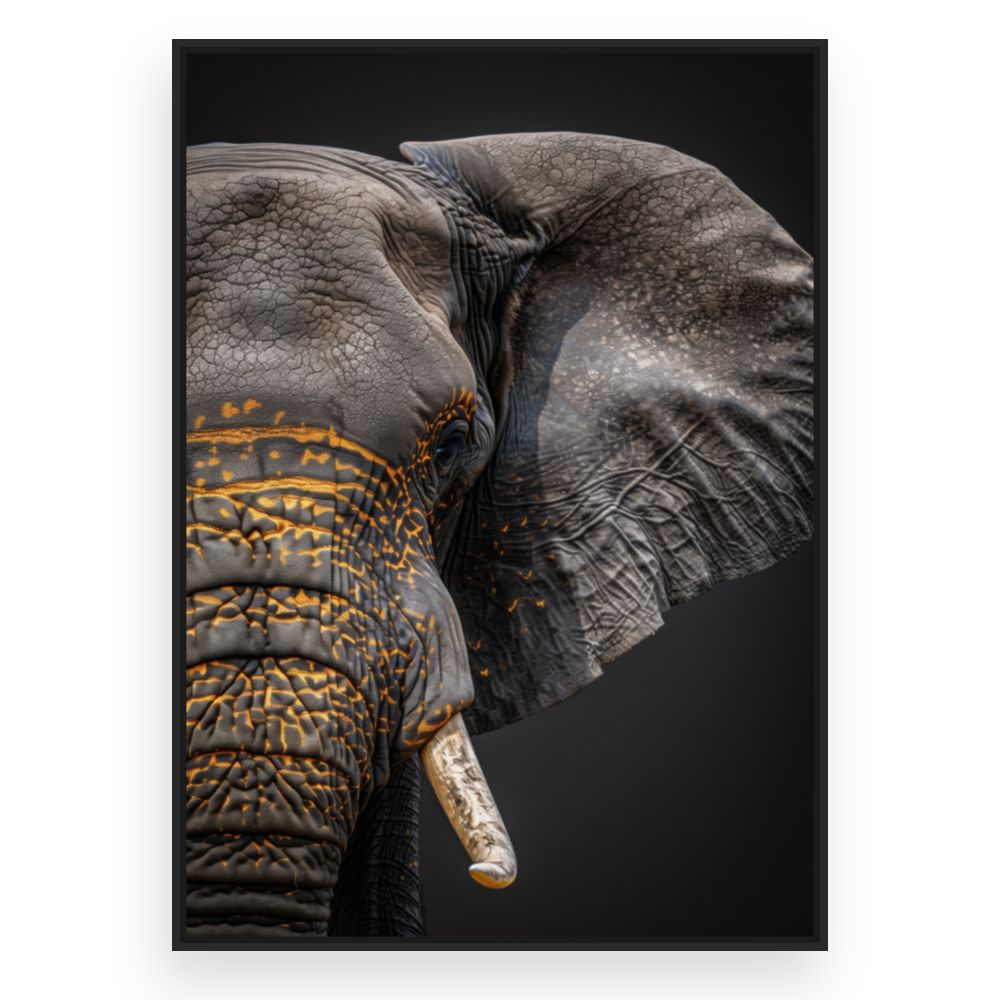 Toile Éléphant majestueux – toile cadre noir (slide 3)