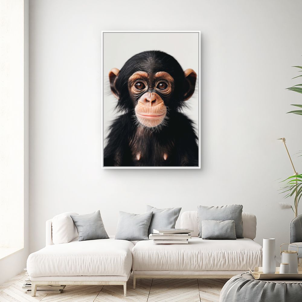 Toile "Bébé chimpanzé curieux"