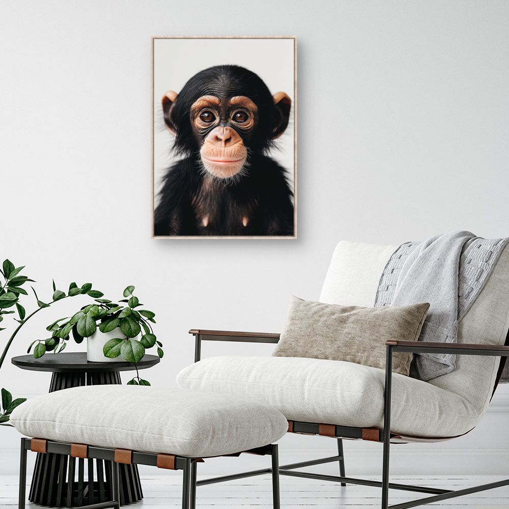 Toile "Bébé chimpanzé curieux"
