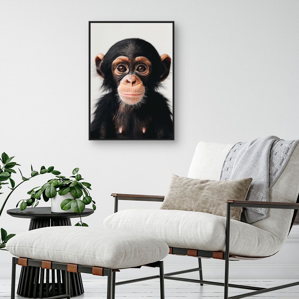 Toile "Bébé chimpanzé curieux"