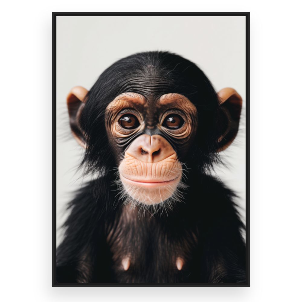 Toile Bébé chimpanzé curieux – toile cadre noir (slide 3)