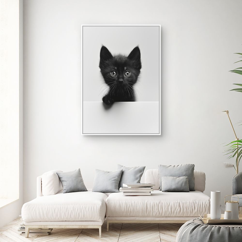 Toile "Chaton curieux"