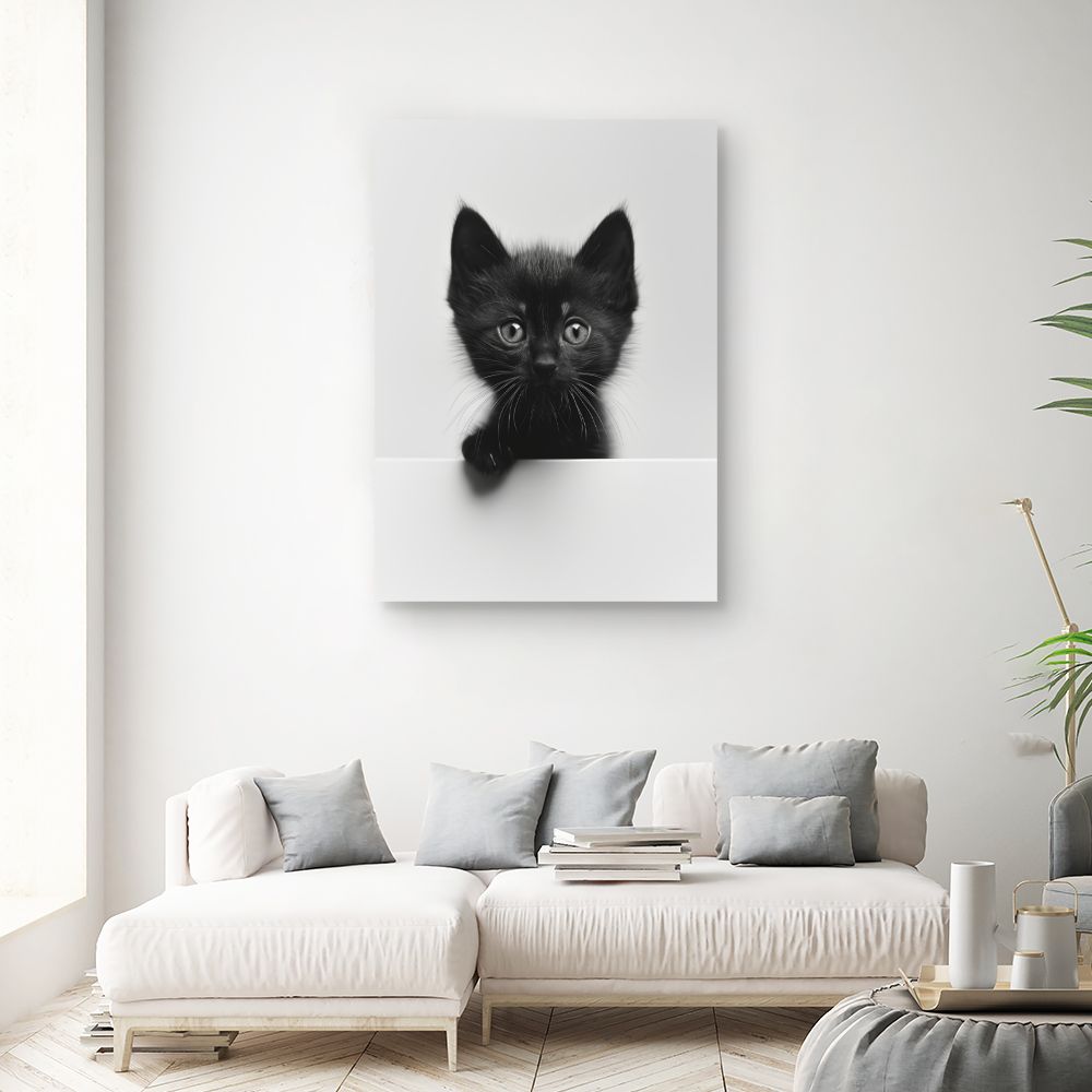 Toile "Chaton curieux"