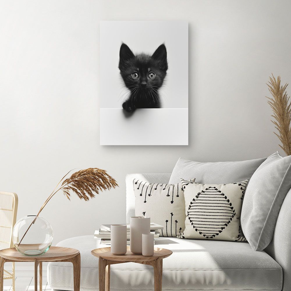 Toile "Chaton curieux"