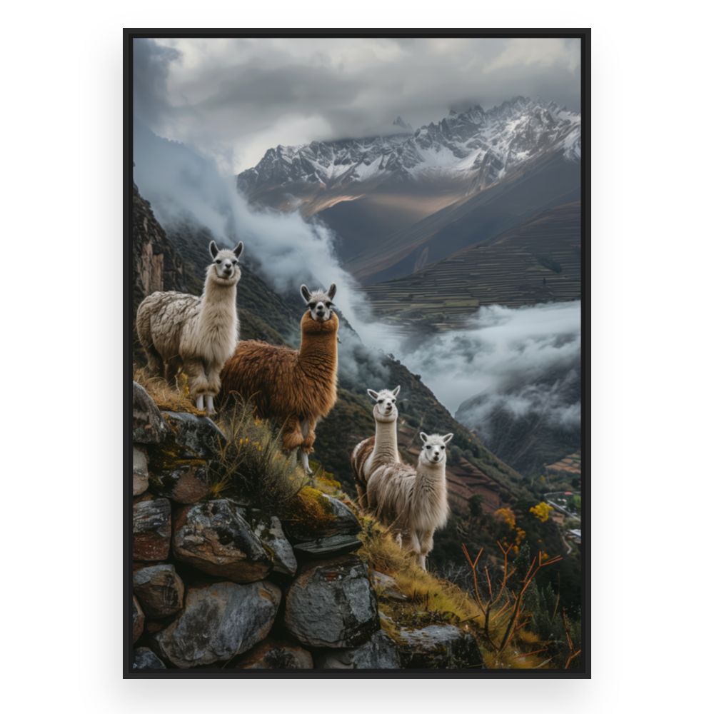 Toile Lamas majestueux – toile cadre noir (slide 3)