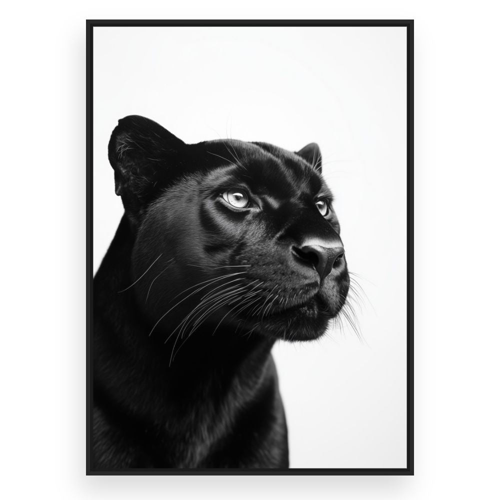 Toile Regard félin captivant – toile cadre noir (slide 3)