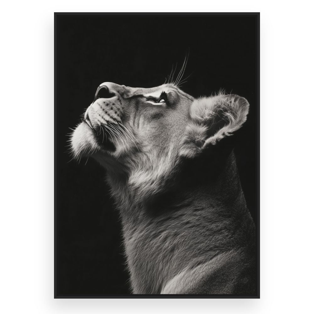 Toile Regard majestueux – toile cadre noir (slide 3)