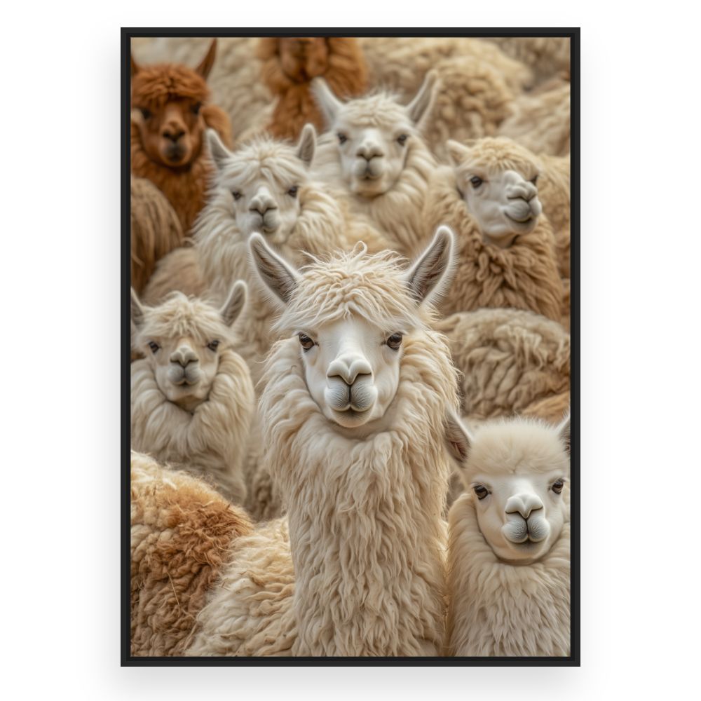 Toile Lamas adorables – toile cadre noir (slide 3)