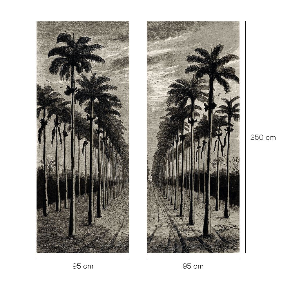 Papier peint "Allée de palmiers"
