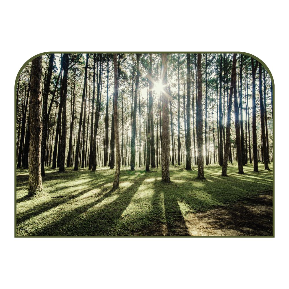 Tête de lit forêt – vue d'ambiance